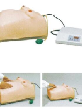 高级电脑孕妇检查模型怀孕检查模型C/妇科检查模型ZH-W2怀孕检