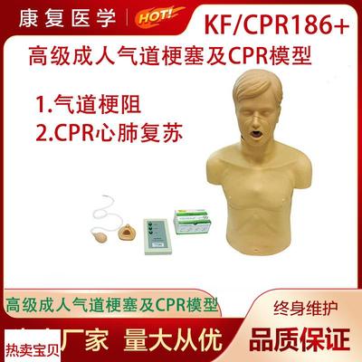 高级成人气道梗塞及CPR模型成B人海氏急救模型成人海姆立克模型