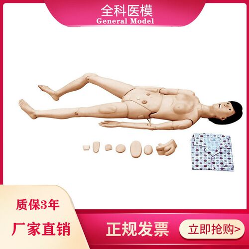 多功能基础护理人训练t模型骨髓腰椎穿刺导尿静脉模拟人