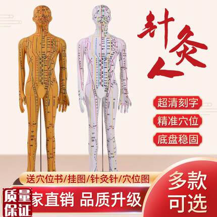 超清人体针灸穴位模型经络铜人刻字中医学教R学人体模型男女小