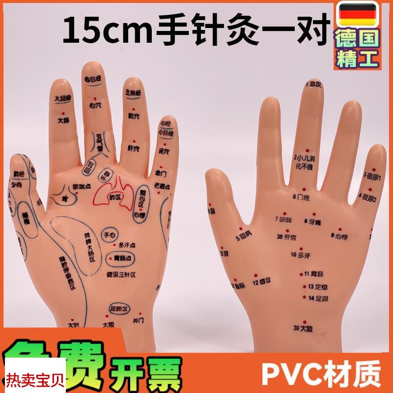 超清晰小儿手部反射区模型中医推拿针灸K教学穴位模型儿童仿真手