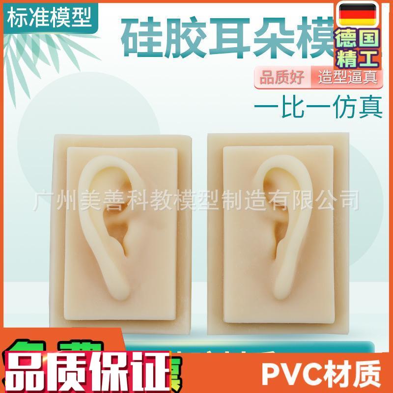 成人11仿真耳朵n模型人体耳朵耳膜型硅胶针灸耳朵(右耳)