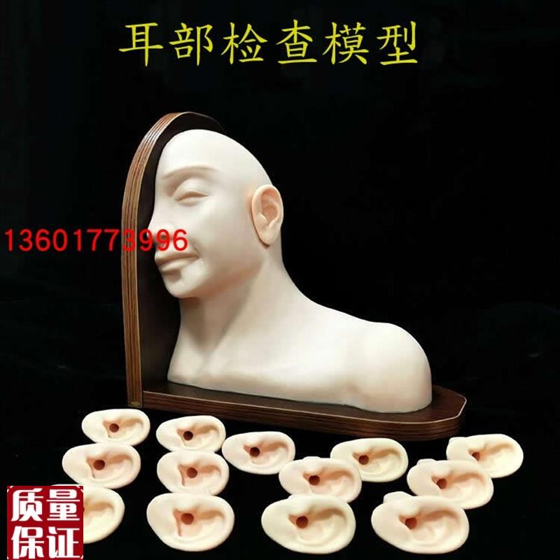高级耳部检查模型采耳操作H练习模型耳内检查模