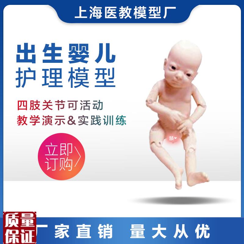 高端关节螺h丝出生婴儿模型四肢可活