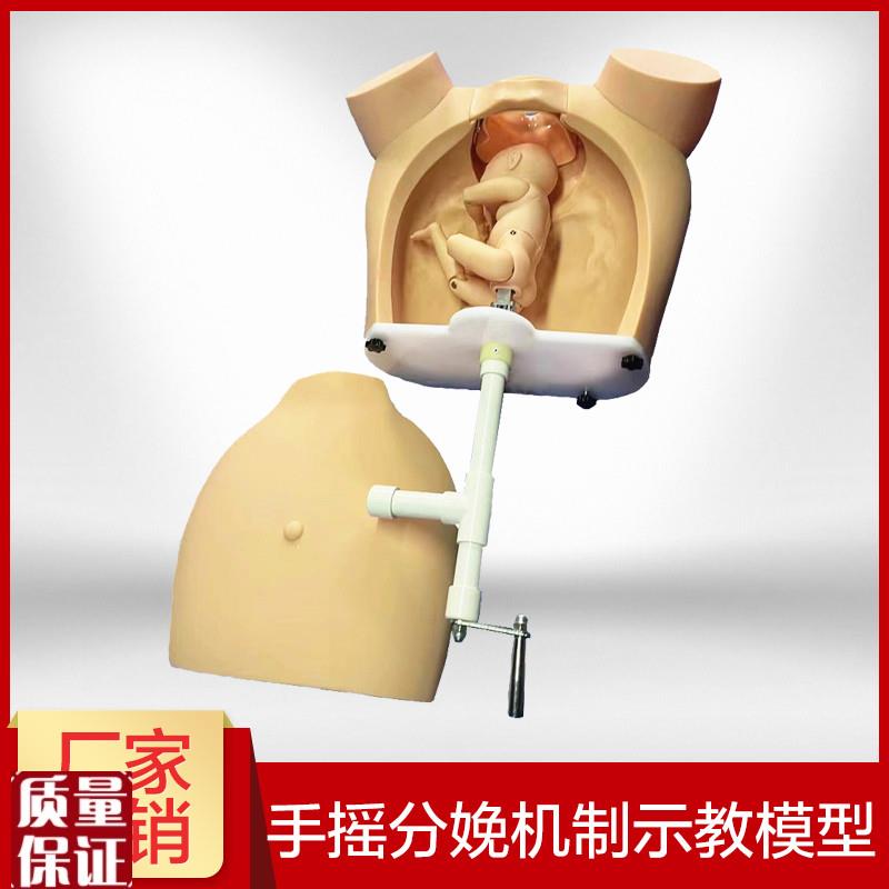 高级手摇分娩机制示教模型医学A用练习模具助产训练模型分娩教
