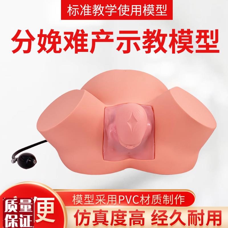 孕妇难产示教模型分娩教学模具难产助产示教训练生产.分娩演示肩