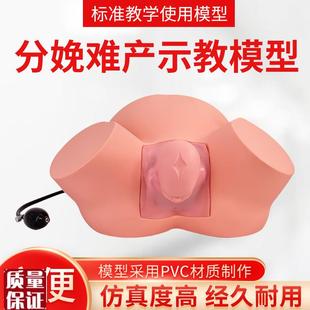 孕妇难产示教模型分娩教学模具难产助产示教训练生产.分娩演示肩