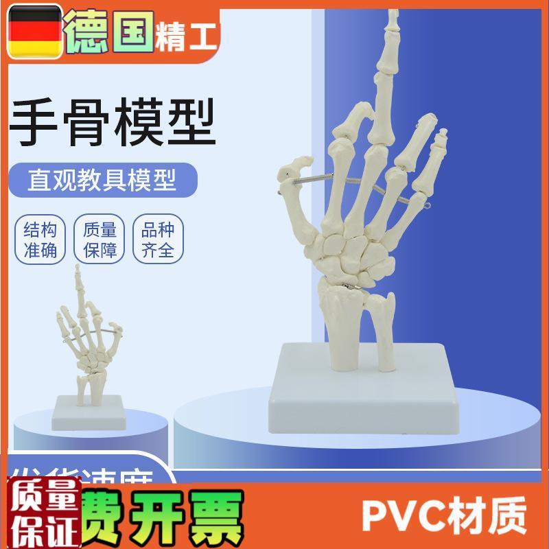 1比1手骨模型仿真腕关节骨骼教具手指可K弯曲医药礼品促销尺骨桡
