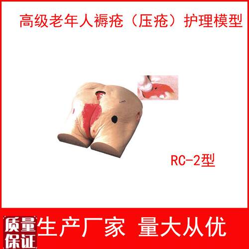 高级老年b人褥疮(压疮)护理模型老年人褥疮护理压疮护理模