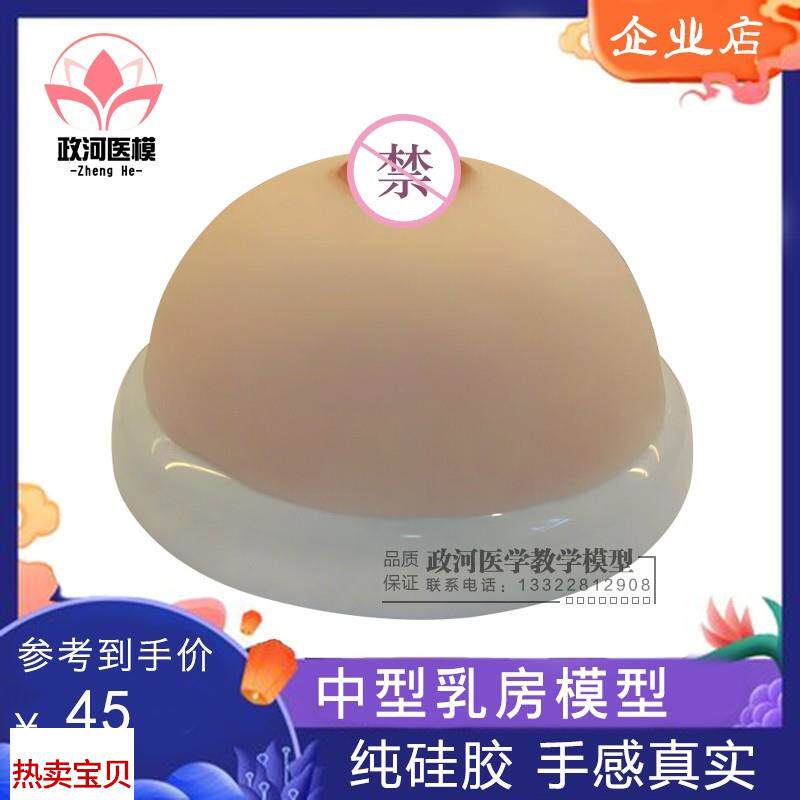 医模乳房模型乳房教学模型义乳示教I假乳催乳师哺乳培训模型