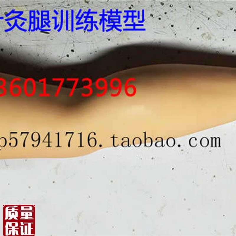 针灸腿训练模型针刺大腿训练模型成人下肢中医Y针灸练习模