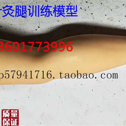 针灸腿训练模型针刺大腿训练模型成人下肢中医Y针灸练习模