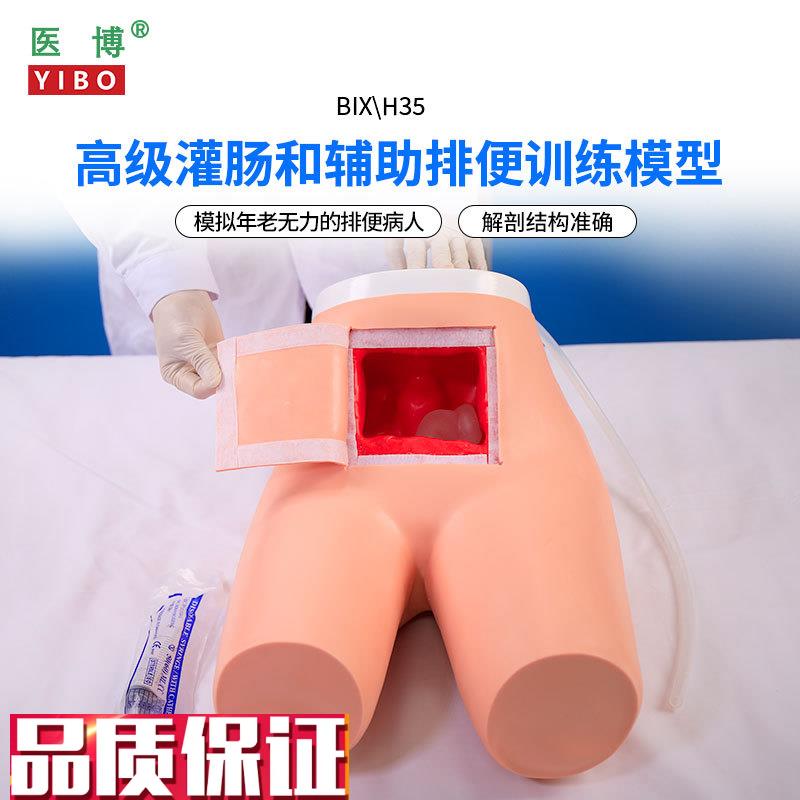 医博BIX-H35高级n灌肠模型辅助排便和及灌肠训练习模型医学用灌肠