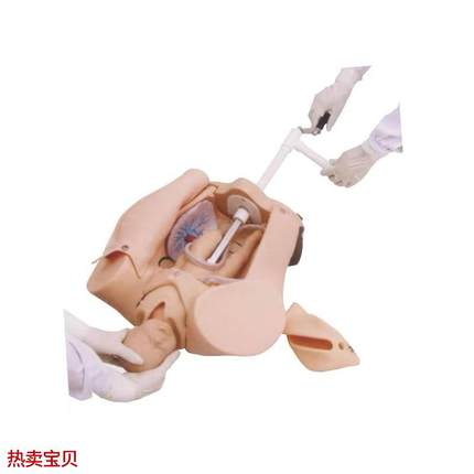 上海医模cYM/F53高级手摇分娩机制示教模型