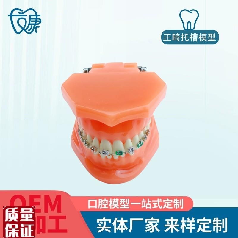 正畸错位牙c齿模型牙齿矫正模型厂家直供口腔教学模型牙齿托槽矫