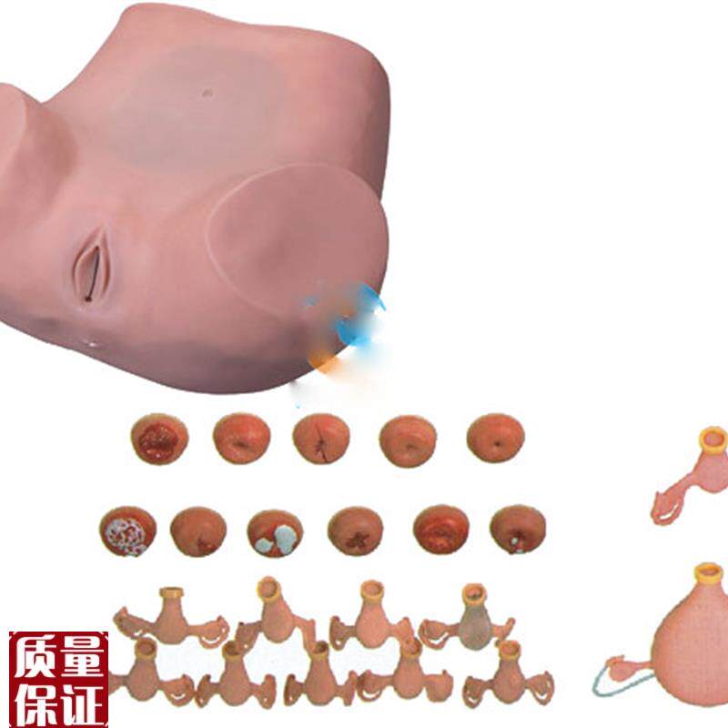 妇科检查训练模型临床计划生育教学R训练练习上环模