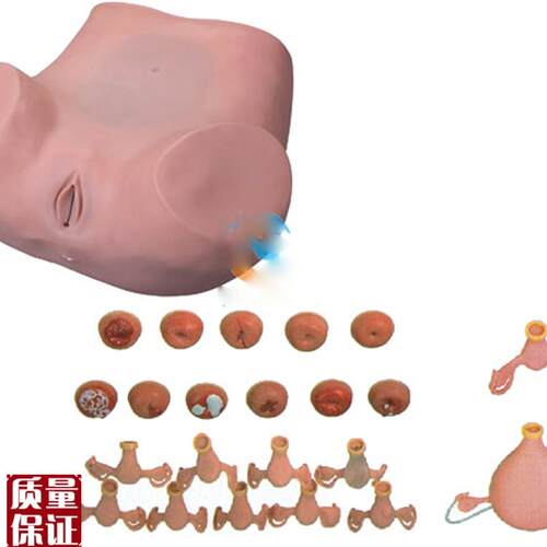 妇科检查训练模型临床计划生育教学R训练练习上环模