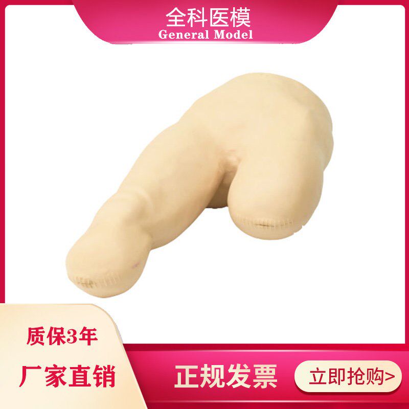 低位包扎模型腿部下肢截肢病人三角巾C包裹训练教学假人体模具LV1