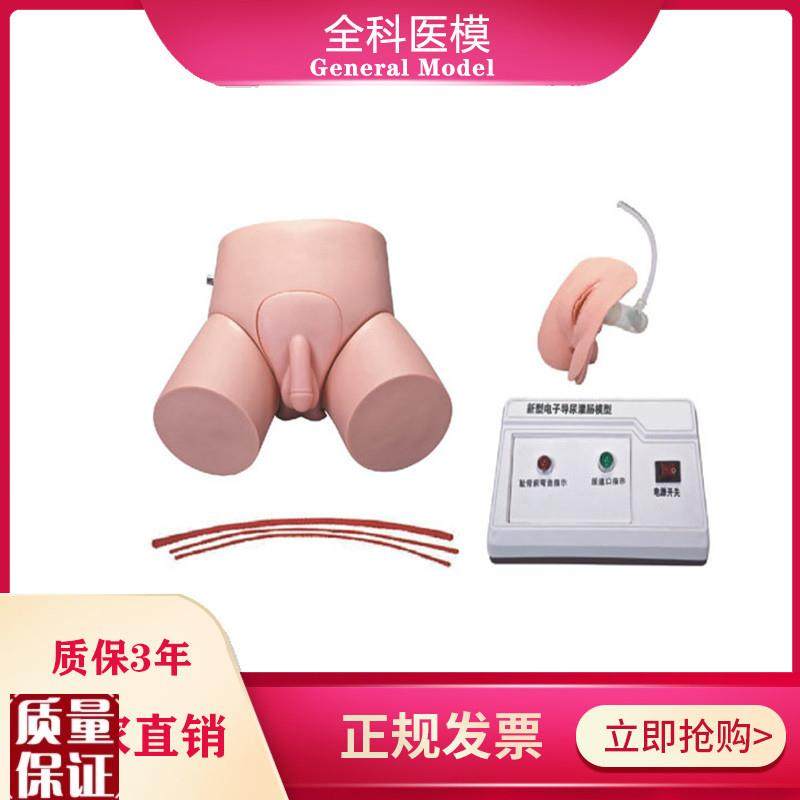 电子导尿灌肠教学实习模型男女护理导尿训练操X作模具教学仪