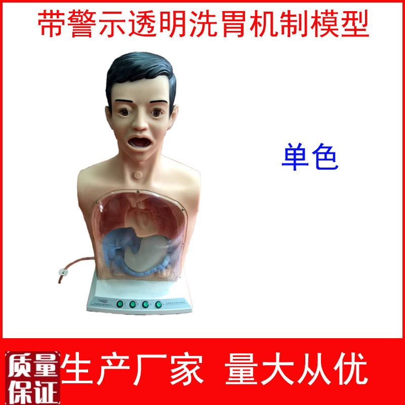 带警示透明洗胃机制模型高级透明洗J胃机制模型洗胃练习模