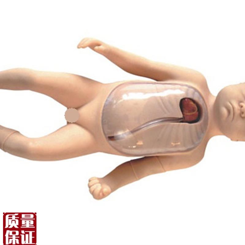 新生儿外周中心静脉插管v模型医学教学模型外周中心静脉插管模