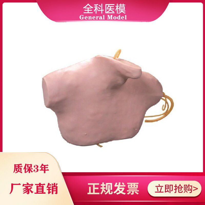 中心静脉穿刺插管模型q半身中心静脉穿刺注射插管模拟人体模具