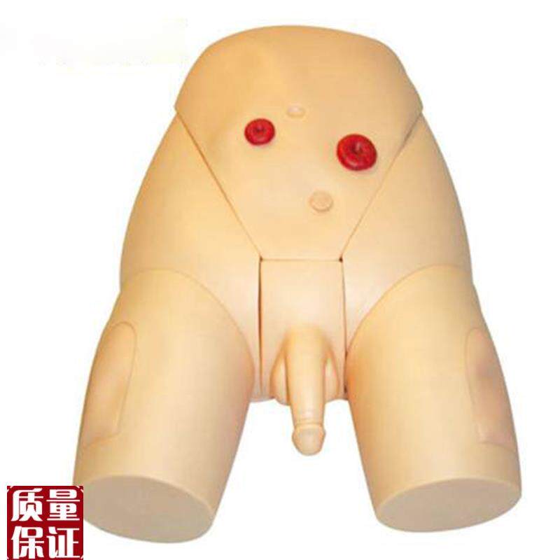 高级男性生殖器导尿模型医H学导尿练习模型训练模
