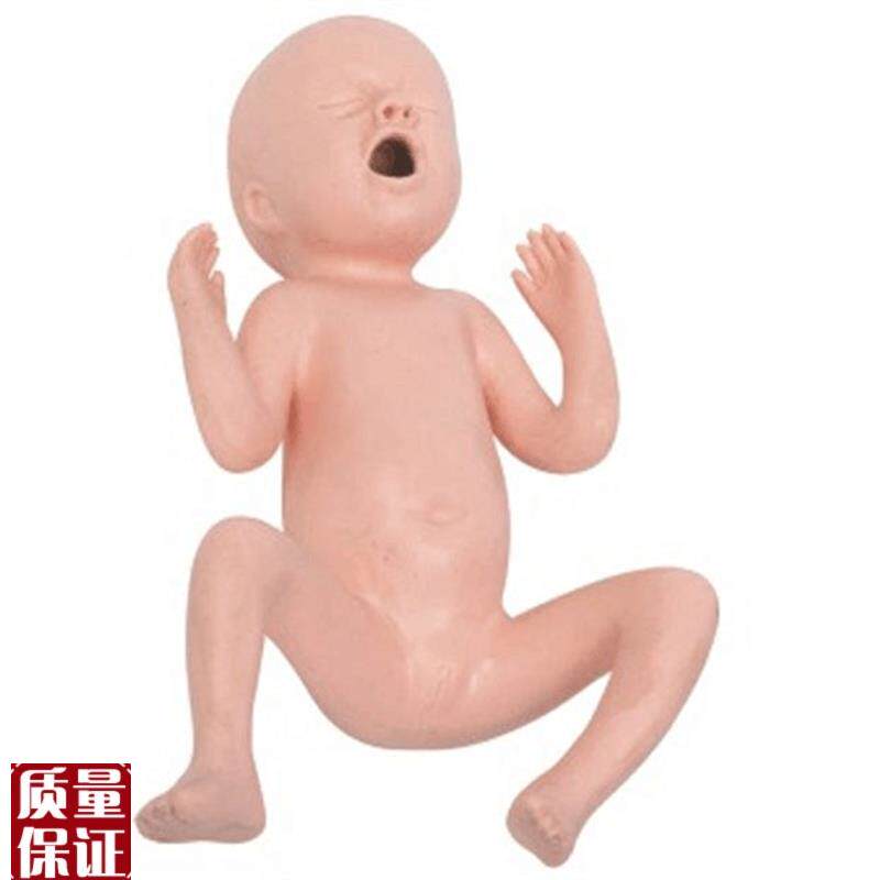 24周早c产儿护理模型初生儿早产儿模型出生婴儿模