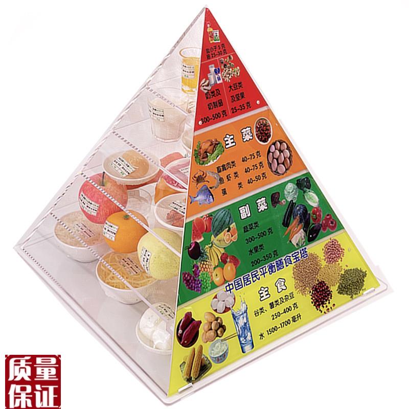 仿真食品中国居民均衡营养膳食宝塔模型T新版营养食物模