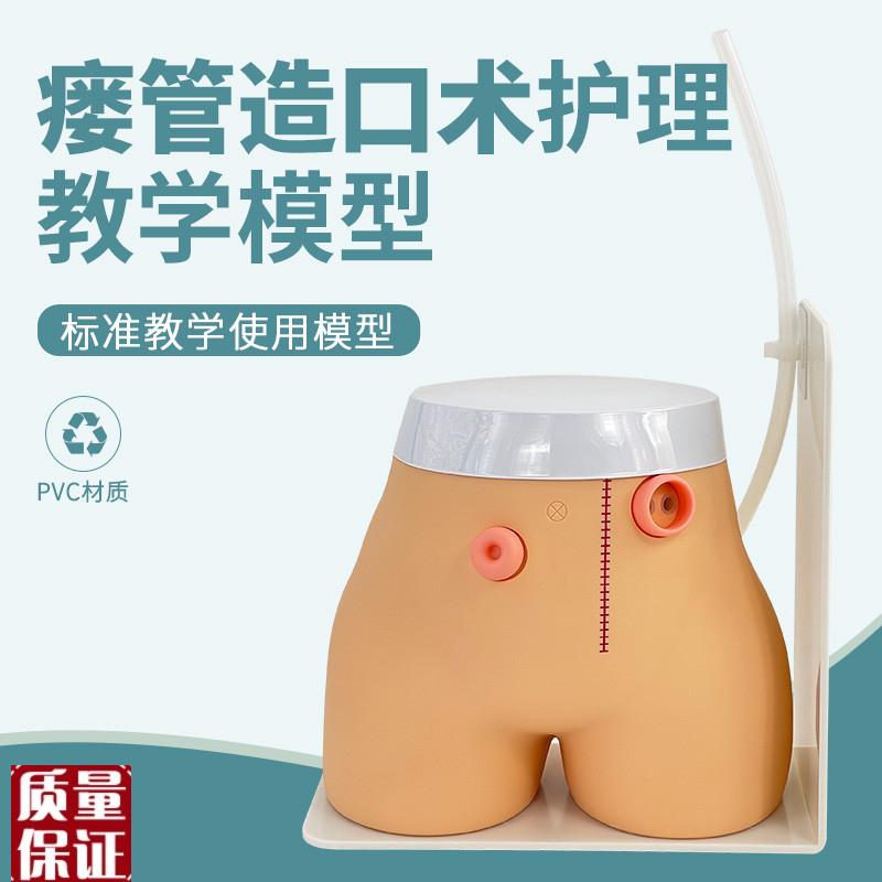 造瘘练习模f型结肠造口回肠造瘘模型高级瘘管造口术护理模