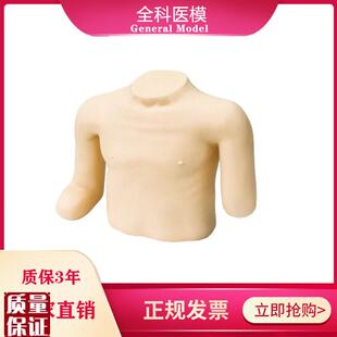 高级高位包扎模型头颈胸部上肢截肢手臂训练模具骨折固定.操作LV1