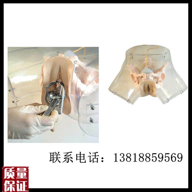 高级透明刮宫模型人流刮宫训z练模型计划生育模具妇产科教学模