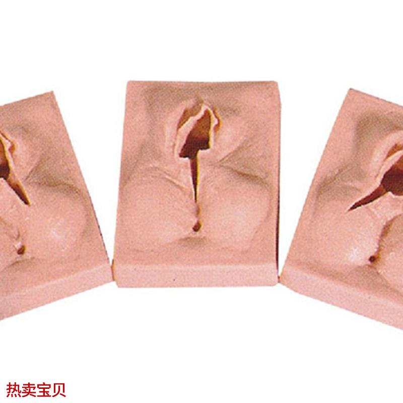 医学用外阴切o开缝合练习模型训练模块