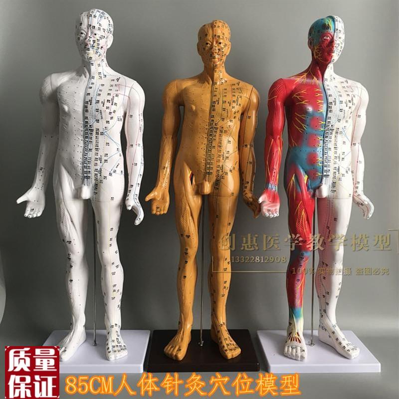 铜色清晰经络通针灸铜人中医师傅人体穴位模型中医针Y灸人模85c