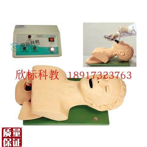 电子人体气管插管模具成人气管插管H护士练习用气管插管教学教