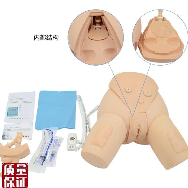 下半身导尿护理模型整体导尿培训模Q型男女性导尿模