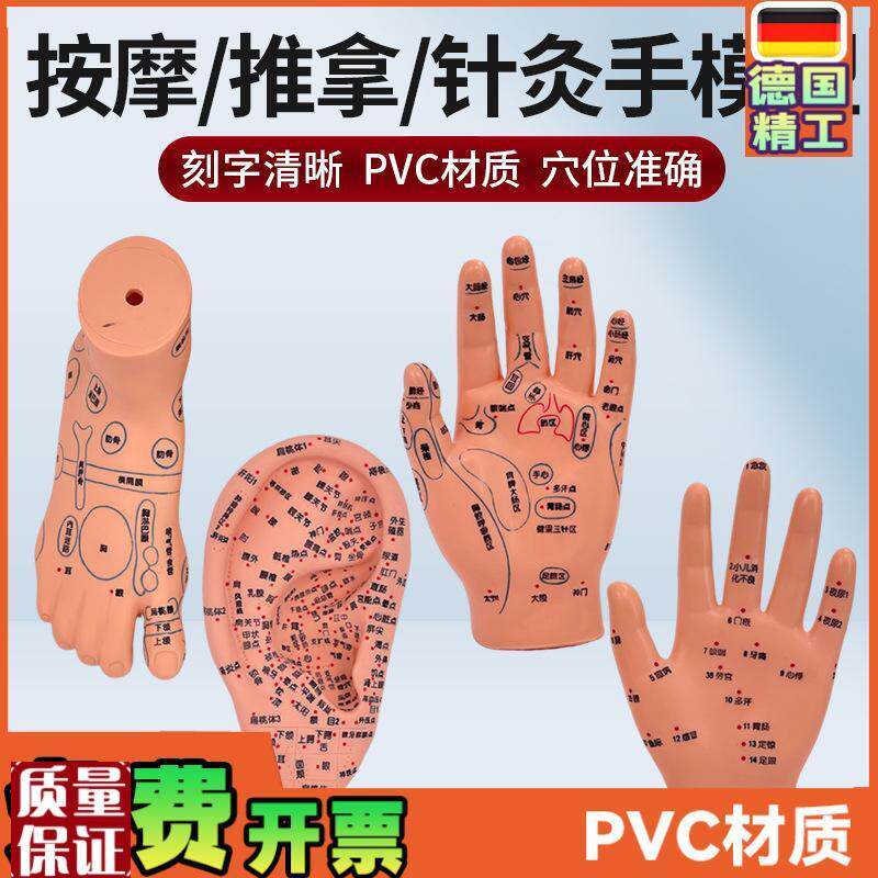 脚穴位模型足g部底耳模耳朵手经络手部推拿针灸足底脚模反射模
