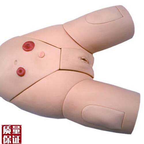 高级男女性人体导尿训练模型灌D肠模型医学导尿操作教学模