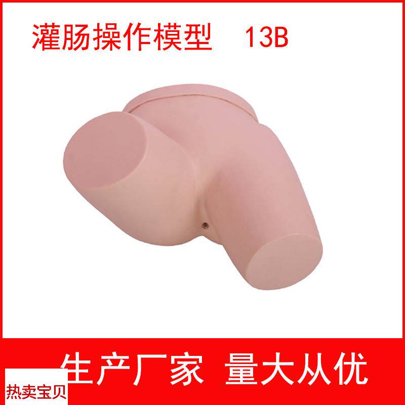 厂家直销灌肠操作模型灌y肠练习模型护士灌肠实习模型