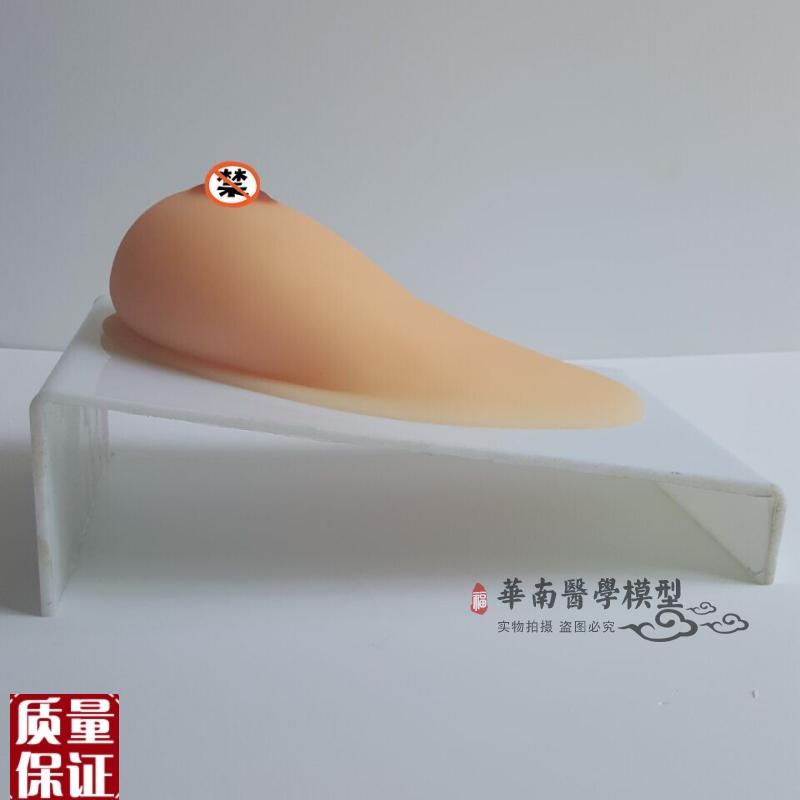 假乳义乳_女性乳房模型_催乳师培训道具_N哺乳教学模具催乳教育