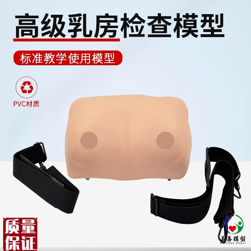 穿戴式乳房训练检查模型女性乳房病理示M教实践自检护理模具假