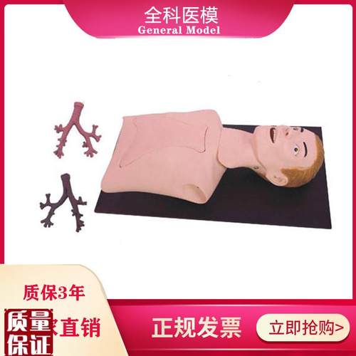 支气管镜插管训练模