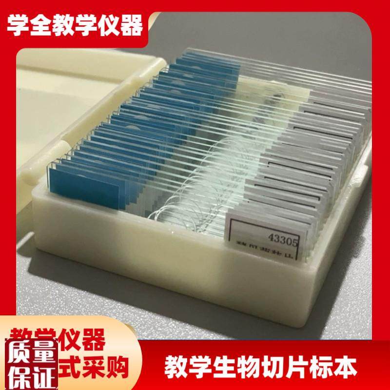 实验室显微镜切片标本初高中教学动G植物载玻片生物切片标本十片
