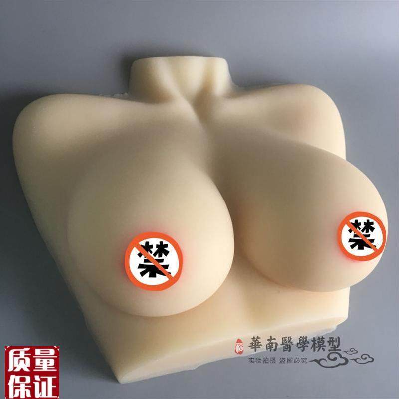 催乳师教具女性i乳房模型硅胶乳房模型催乳师培训医学用假乳