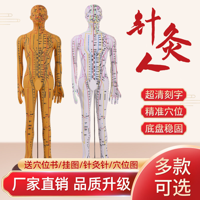 针灸穴位人体模型全身家用中医十二经络图小O皮人硅胶扎针练习铜