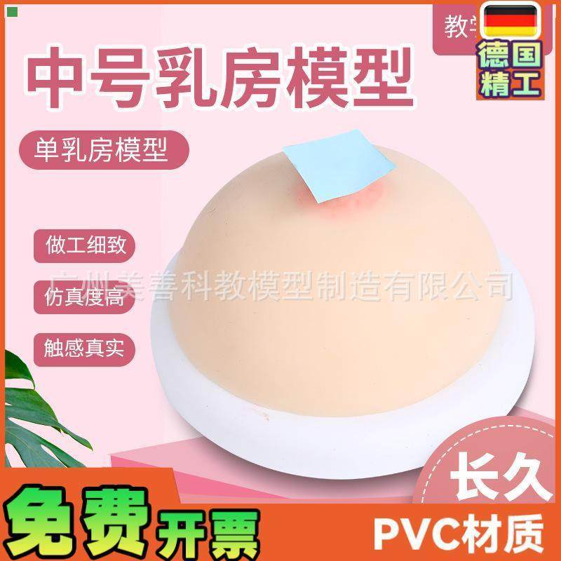 女性乳房模型 培训 假乳催乳师家政培训教具母乳喂养哺乳教学模型