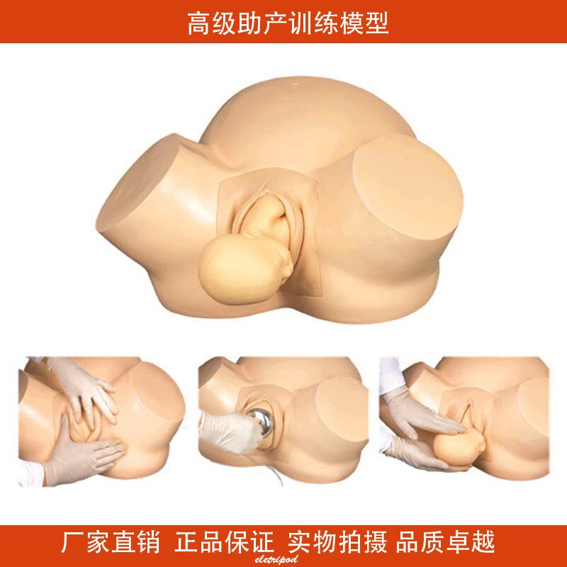 高级助产训练模型F8o分娩模型/生育模型 女性顺产分娩模拟人体