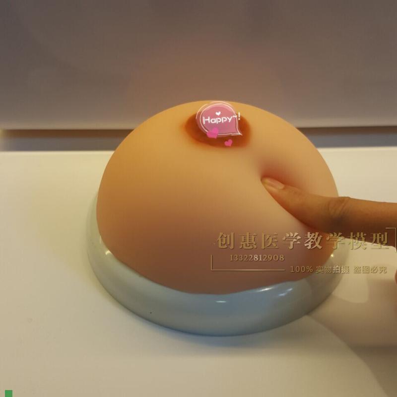 假乳义乳_女性乳房模型_催乳师培训道具_哺乳教学模具.催乳教育具