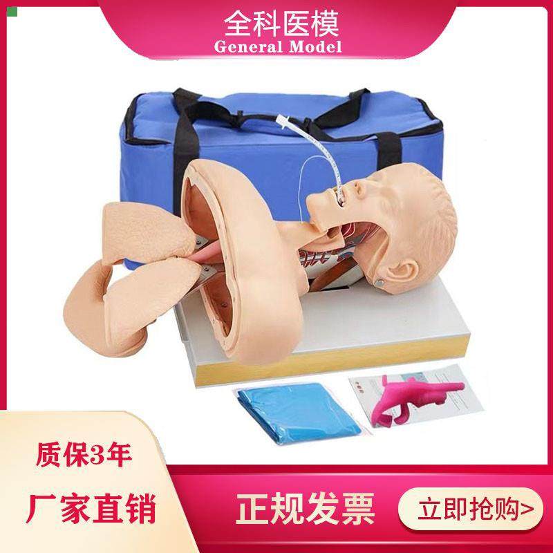 GM/J50高级人体气管插管训练模型成人口鼻气道管理急救模具