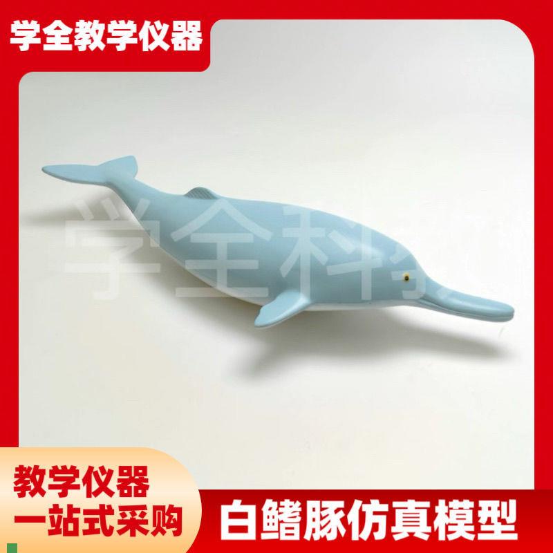 白鳍豚仿真模型仿真动物系列模型B教学仪器海洋生物模型教具模型